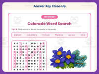 Colorado Word Search Worksheet – 3rd Grade States Practice preview 7