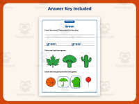 Coloring Green Pictures Worksheet – Kindergarten Colors Practice preview 3