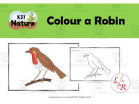 Product image #0