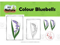 Product image #0