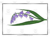 Product image #2