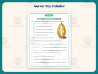 Complete Incomplete Chocolate Sentences Worksheet – 4th Grade Grammar preview 3