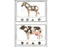 Product image #1