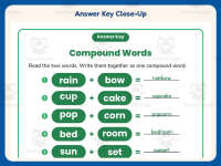 Compound Words Equations Worksheet – 2nd Grade Grammar Practice preview 7