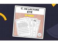 Compréhension de lecture - ÉTÉ (10 textes) preview