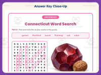 Connecticut Word Search Worksheet – 3rd Grade States Practice preview 7