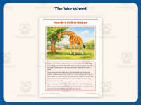 Connie’s Zoo Visit – Reading Comprehension Worksheet – 2nd Grade preview 2