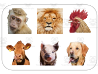 Product image #1