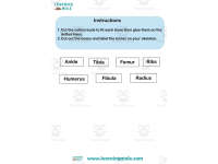 Product image #1
