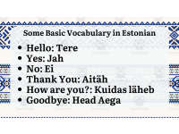 Product image #3