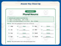 Creating Plural Nouns Worksheet – 2nd Grade Suffixes Practice preview 7