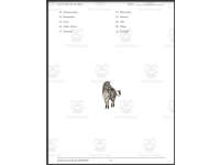 Product image #1