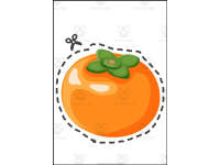 Product image #4