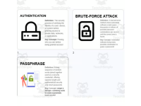 Cybersecurity Unit 1 Expansion Pack: Password Slides, Quiz & Vocab preview 2