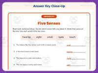 Describe It Five Senses Worksheet – 3rd Grade Anatomy & Human Body preview 7