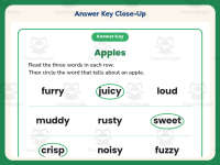 Describing Apples Circling Worksheet – 1st Grade Vocabulary Practice preview 7