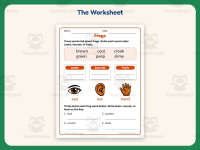 Describing Frogs Worksheet – 1st Grade Animals Practice + Answer Key preview 2