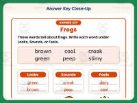 Describing Frogs Worksheet – 1st Grade Animals Practice + Answer Key preview 7