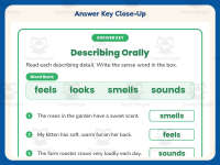 Describing Orally Worksheet – 2nd Grade Speaking and Listening preview 7