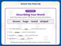 Describing Words Worksheet – Hot Air Balloon – 2nd Grade Adjectives preview 7