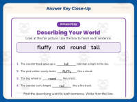 Describing Words Worksheet – Roller Coaster – 2nd Grade Sentences preview 7
