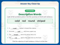 Descriptive Words Worksheet – 2nd Grade Adjectives & Nouns Practice preview 7