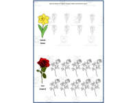 Product image #3