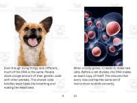 Product image #5