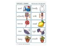 Product image #5