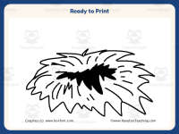 Dr. Seuss TCH Word Family Worksheet – K-3rd Grade Word Families preview 7