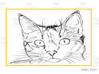 Product image #2