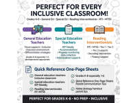 Dyslexia Classroom Supports Toolkit | Accommodations & Strategies preview 3