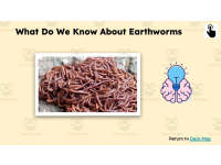 Product image #5