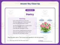 Elements of Poetry Worksheet – 3rd Grade Reading Response Practice preview 7