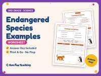 Endangered Species Examples Worksheet – 3rd Grade Animals Practice preview