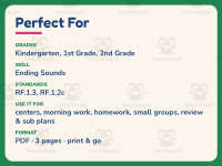 Ending Sounds P R S Sentences Worksheet – 1st Grade Consonants preview 6