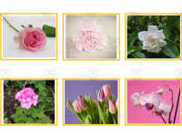 Product image #3