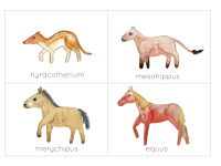 Product image #2
