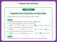 Explain the Function of Adverbs Worksheet – 3rd Grade Grammar Practice preview 7