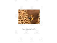 Product image #5