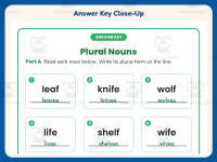 F V Plurals Worksheet – 2nd Grade Nouns Practice + Answer Key preview 7