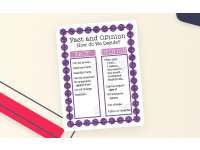 Fact and Opinion Anchor Chart preview