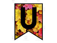Product image #3