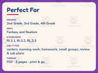 Fantasy and Realism Story Elements Graphic Organizer – 3rd Grade preview 6
