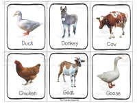Product image #2