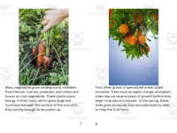 Product image #4