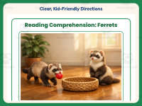 Ferrets Reading Comprehension Worksheet – 1st Grade Animals Practice preview 4