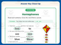 Fill in the Blank Homophones Worksheet – 2nd Grade Grammar Practice preview 7