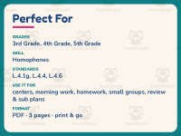 Finding Homophones Worksheet – 4th Grade Grammar Practice + Answer Key preview 6
