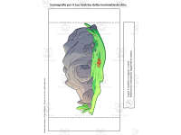 Product image #3